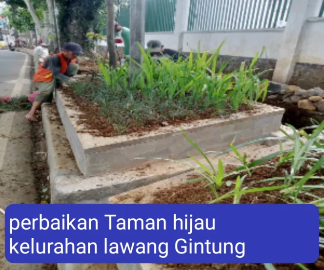 
					CV. Asri Prima Karya Benahi dan Percantik taman Jalur Hijau Jln Lawang Gintung Bogor Selatan