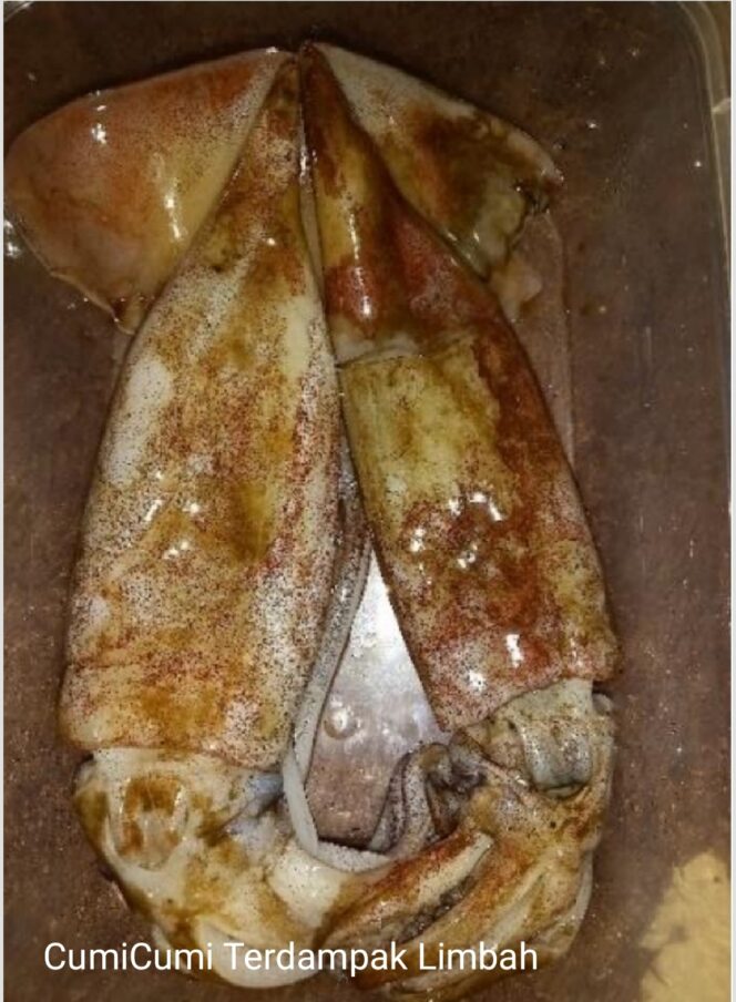 
					Strategi Pencegahan Risiko Cemaran Kandungan Logam Kadmium (Cd) pada CumiCumi sebagai Sumber Pangan