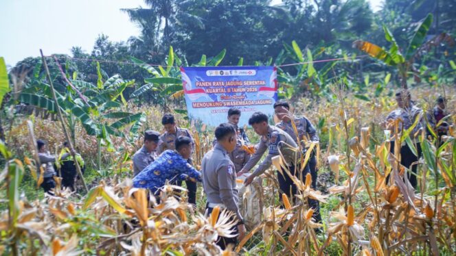 
					Satlantas Polres Bogor Perkuat Sinergitas dengan Pemerintah Desa dan Bhabinkamtibmas Melalui Penanaman Jagung