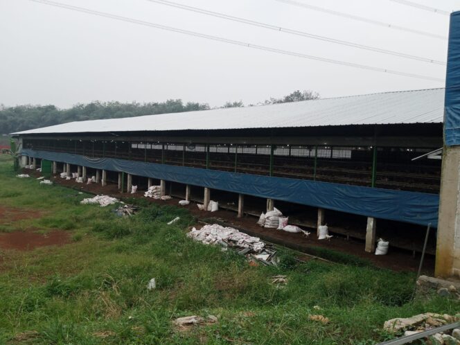 
					Warga Desa Cidokom Resah Dampak PT.Siny Farm Bau AromaTak sedap
